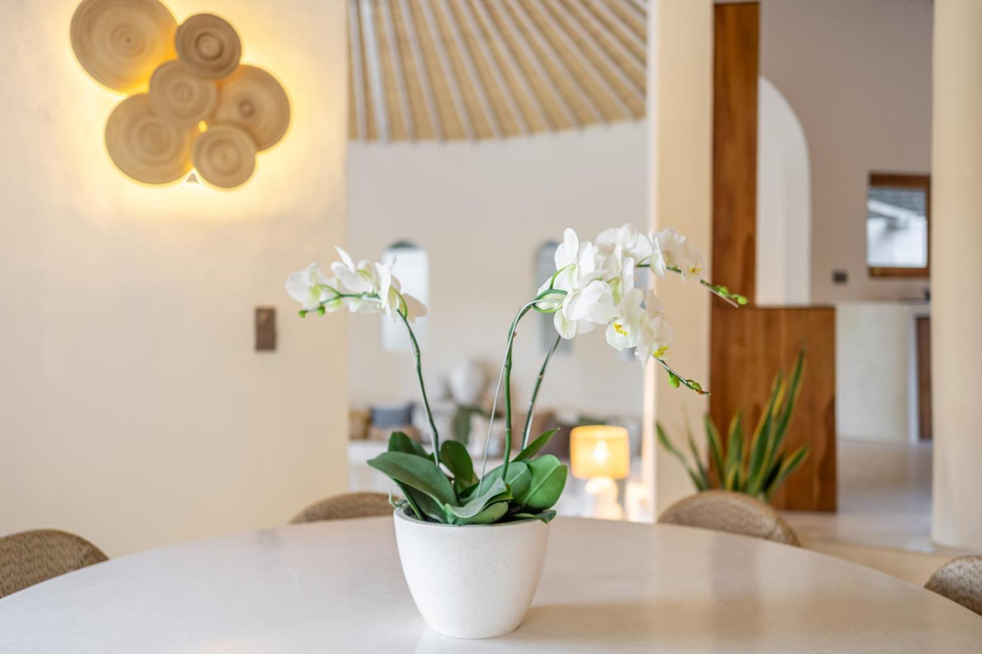 Meraki, 6br, Incl Breakfast, Heart Of Seminyak, Walking Distance To Restaurants, Bars And Shops, Tropical Garden Villa